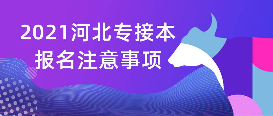 河北專接本考試報名時需注意這五點