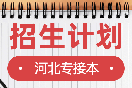 河北專接本招生計劃