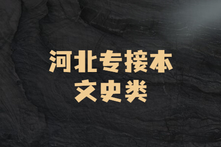 河北專接本文史類