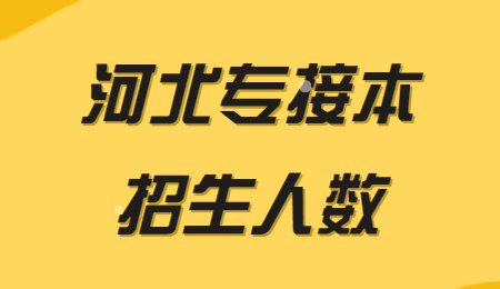 河北專接本招生人數.jpg