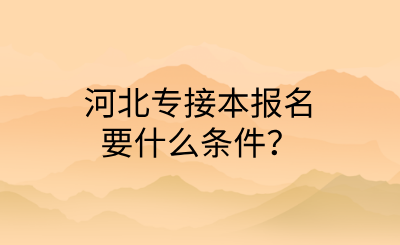 河北專接本報名要什么條件？.png