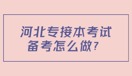 河北專接本考試備考怎么做？