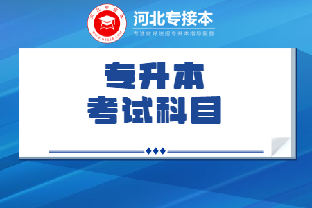 河北專接本考試科目